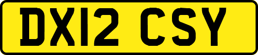 DX12CSY