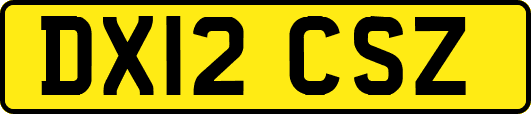 DX12CSZ