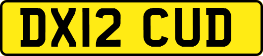 DX12CUD