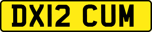 DX12CUM