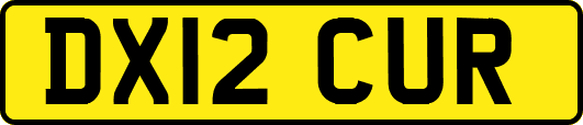 DX12CUR