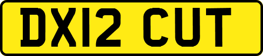 DX12CUT