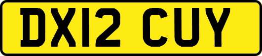 DX12CUY