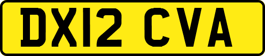 DX12CVA