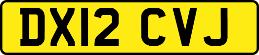 DX12CVJ