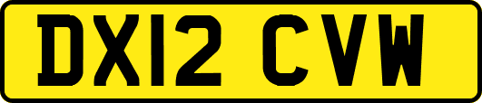 DX12CVW