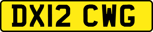 DX12CWG