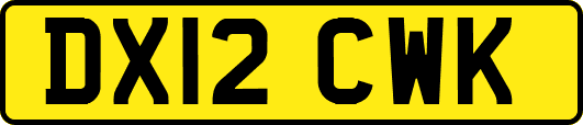 DX12CWK