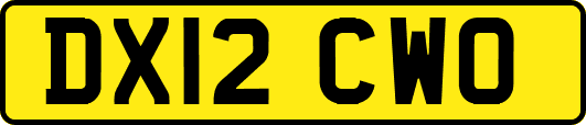DX12CWO