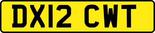DX12CWT