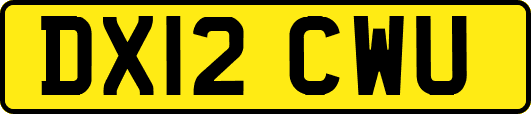 DX12CWU