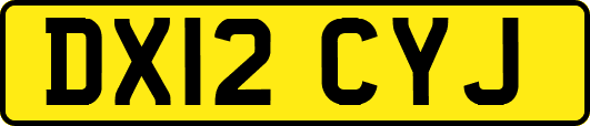 DX12CYJ
