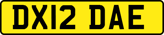 DX12DAE
