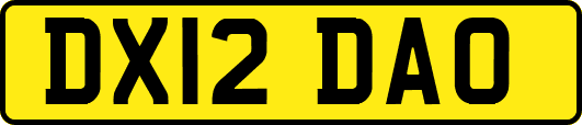 DX12DAO