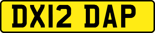 DX12DAP