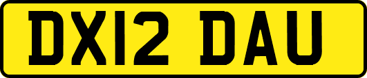 DX12DAU
