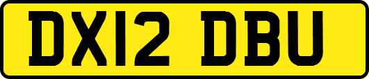 DX12DBU
