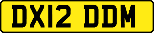 DX12DDM