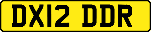 DX12DDR