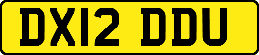 DX12DDU