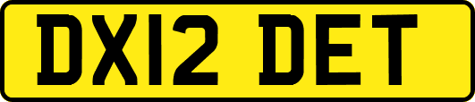 DX12DET