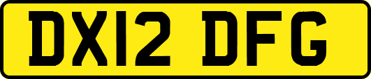 DX12DFG