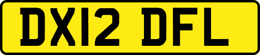 DX12DFL