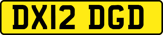 DX12DGD