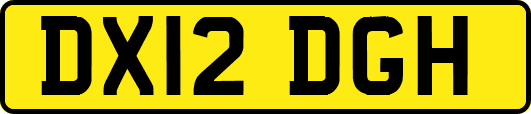 DX12DGH
