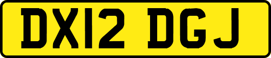 DX12DGJ