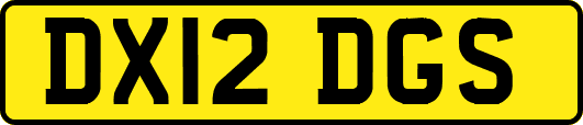 DX12DGS