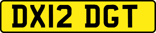 DX12DGT