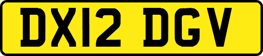 DX12DGV