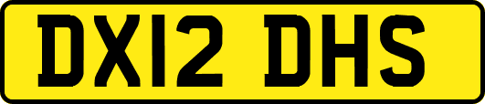 DX12DHS