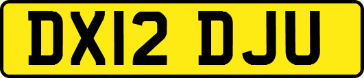 DX12DJU
