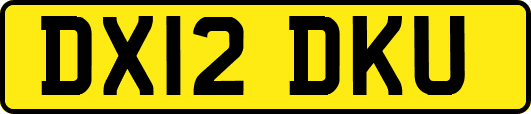 DX12DKU