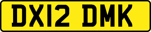 DX12DMK