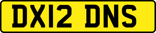 DX12DNS
