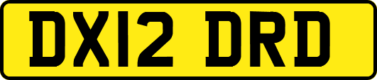DX12DRD