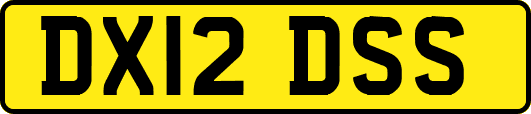 DX12DSS