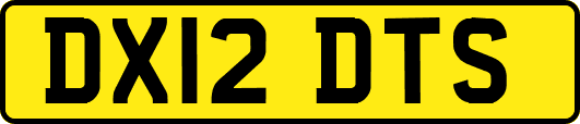DX12DTS