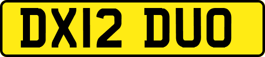 DX12DUO