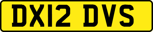 DX12DVS