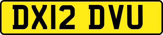 DX12DVU