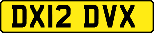 DX12DVX