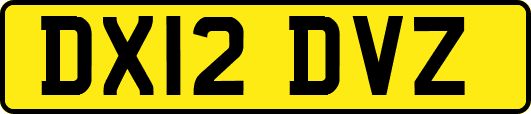 DX12DVZ