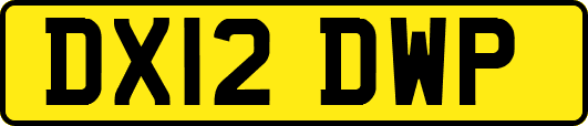 DX12DWP