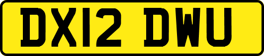 DX12DWU