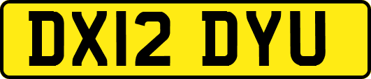 DX12DYU