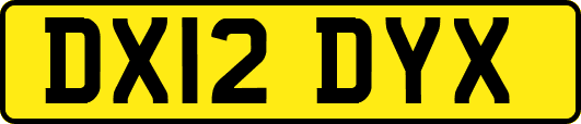 DX12DYX